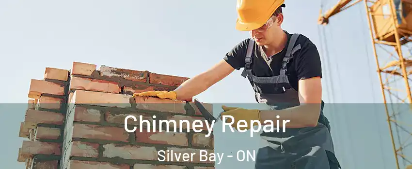  Chimney Repair Silver Bay - ON