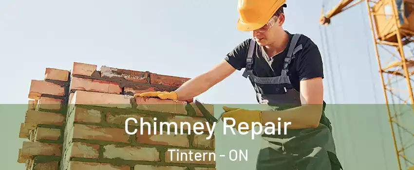 Chimney Repair Tintern - ON