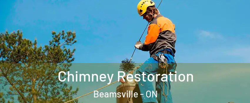  Chimney Restoration Beamsville - ON