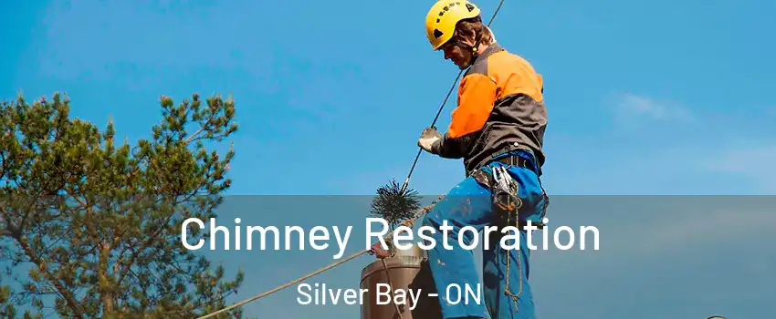 Chimney Restoration Silver Bay - ON
