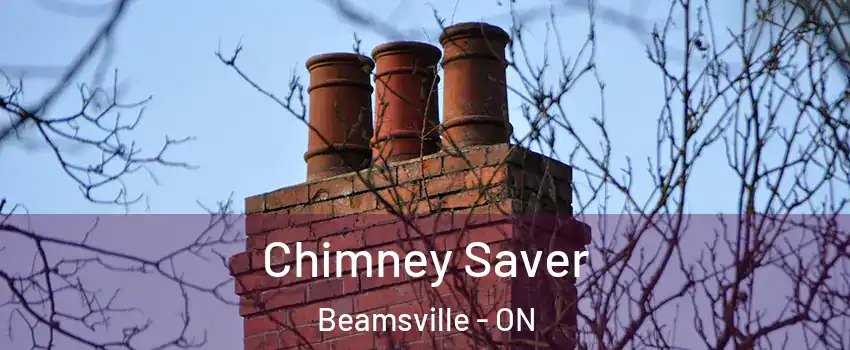 Chimney Saver Beamsville - ON