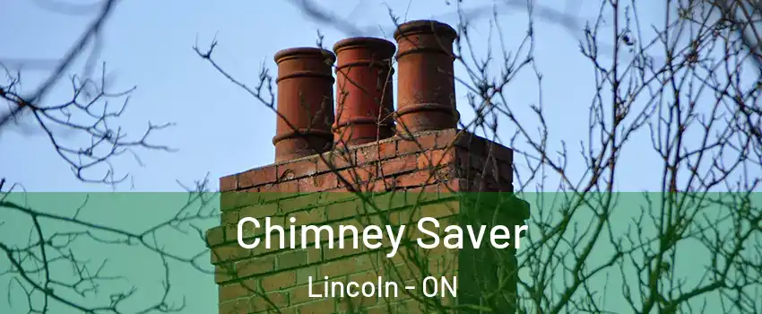  Chimney Saver Lincoln - ON