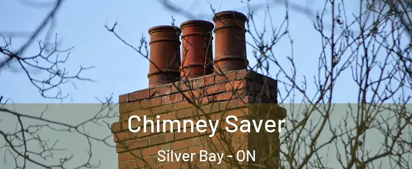  Chimney Saver Silver Bay - ON