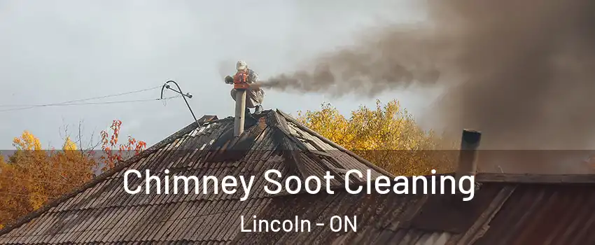  Chimney Soot Cleaning Lincoln - ON