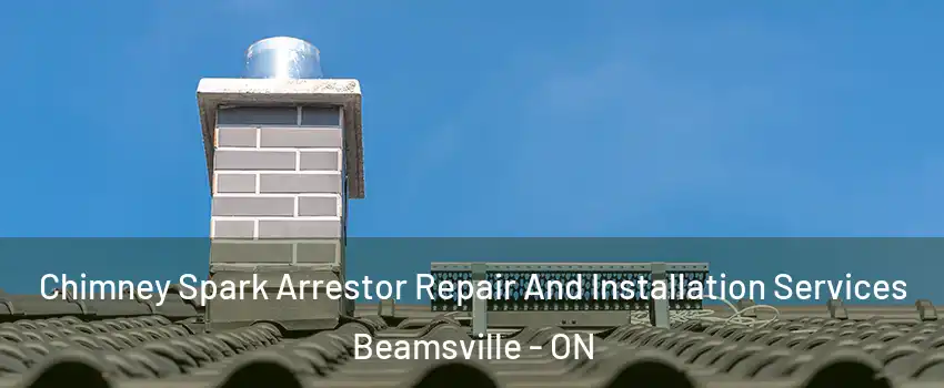  Chimney Spark Arrestor Repair And Installation Services Beamsville - ON