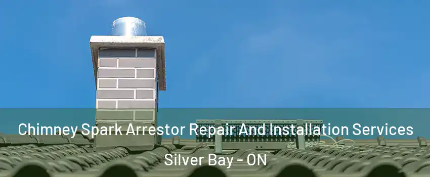 Chimney Spark Arrestor Repair And Installation Services Silver Bay - ON