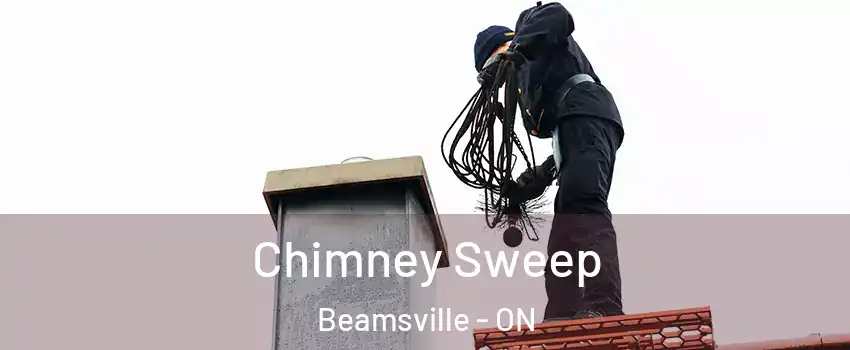 Chimney Sweep Beamsville - ON