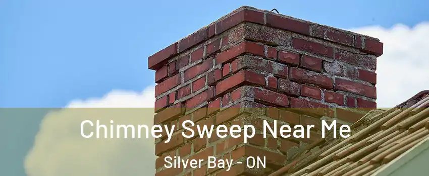 Chimney Sweep Near Me Silver Bay - ON