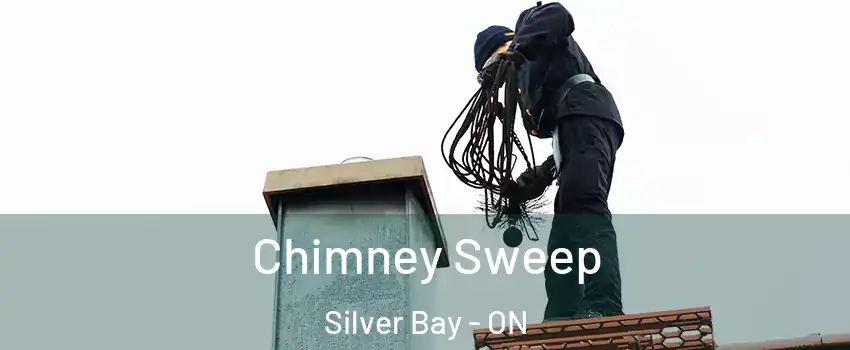 Chimney Sweep Silver Bay - ON
