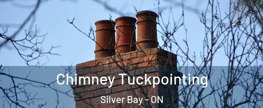 Chimney Tuckpointing Silver Bay - ON