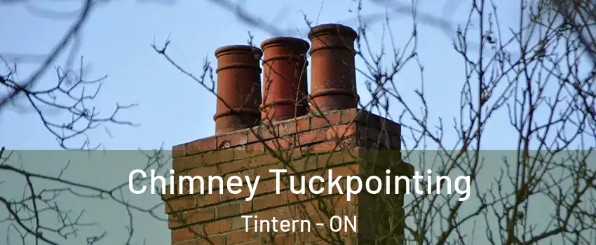  Chimney Tuckpointing Tintern - ON