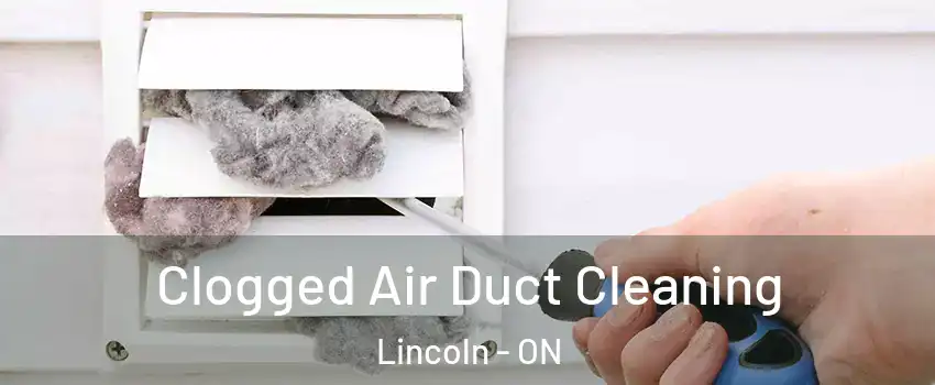  Clogged Air Duct Cleaning Lincoln - ON