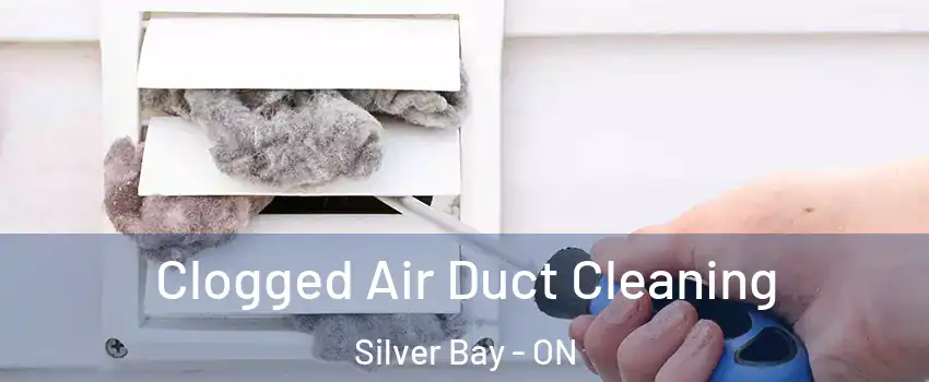  Clogged Air Duct Cleaning Silver Bay - ON