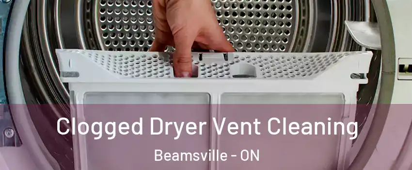  Clogged Dryer Vent Cleaning Beamsville - ON