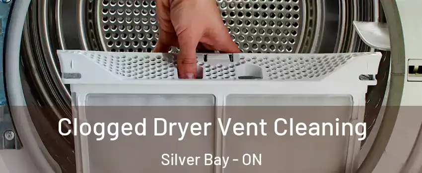 Clogged Dryer Vent Cleaning Silver Bay - ON