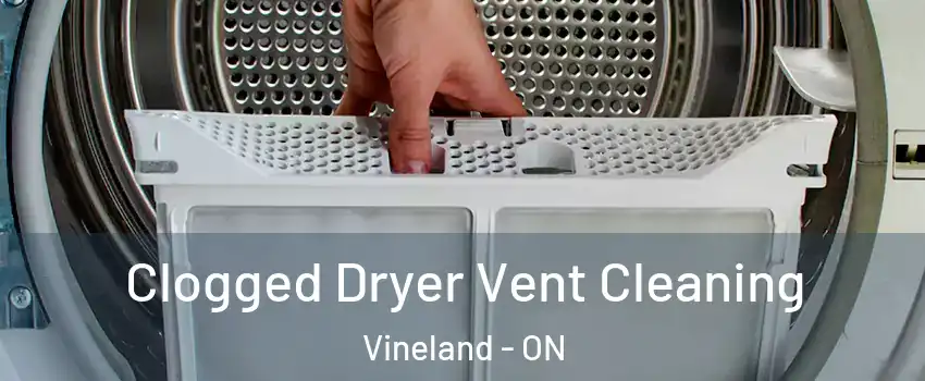  Clogged Dryer Vent Cleaning Vineland - ON