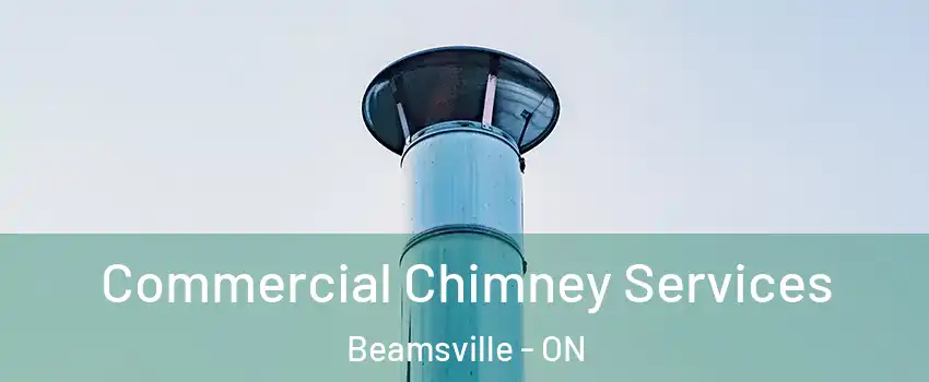  Commercial Chimney Services Beamsville - ON