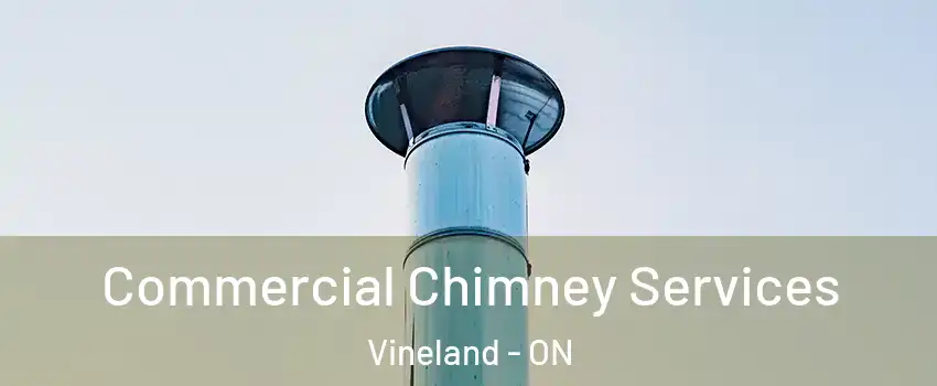  Commercial Chimney Services Vineland - ON