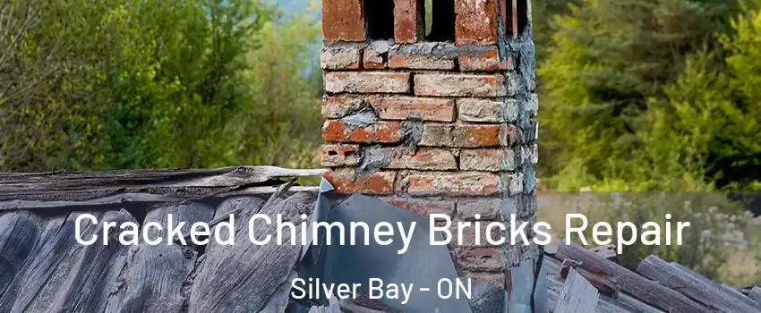  Cracked Chimney Bricks Repair Silver Bay - ON