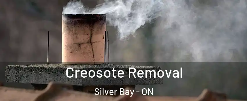 Creosote Removal Silver Bay - ON