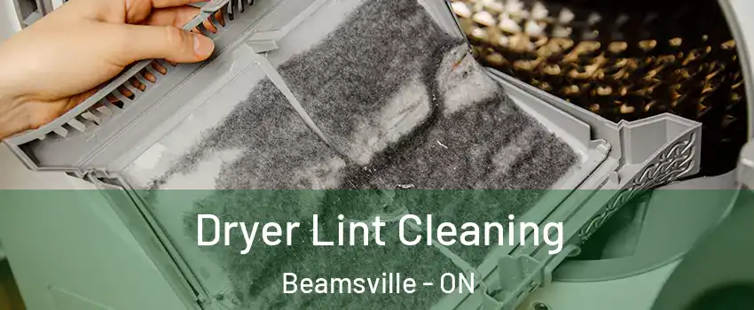  Dryer Lint Cleaning Beamsville - ON