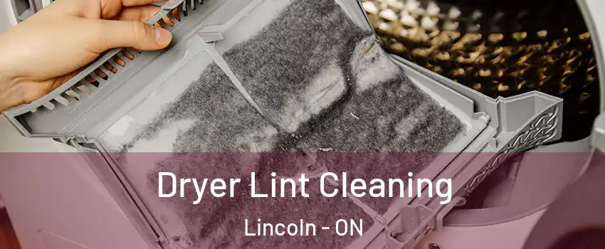  Dryer Lint Cleaning Lincoln - ON