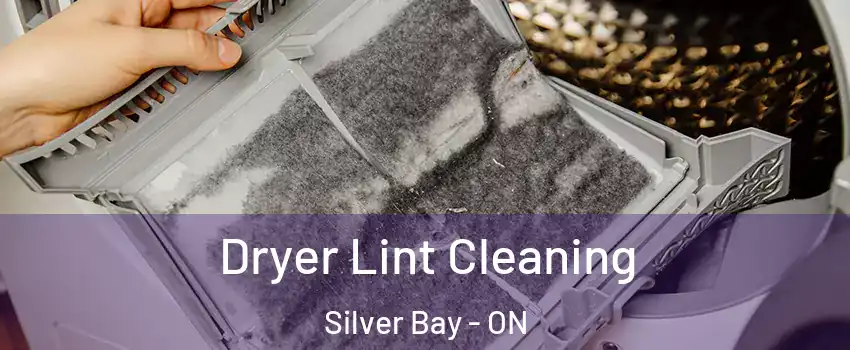  Dryer Lint Cleaning Silver Bay - ON