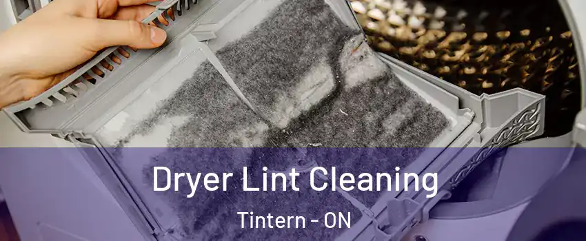  Dryer Lint Cleaning Tintern - ON