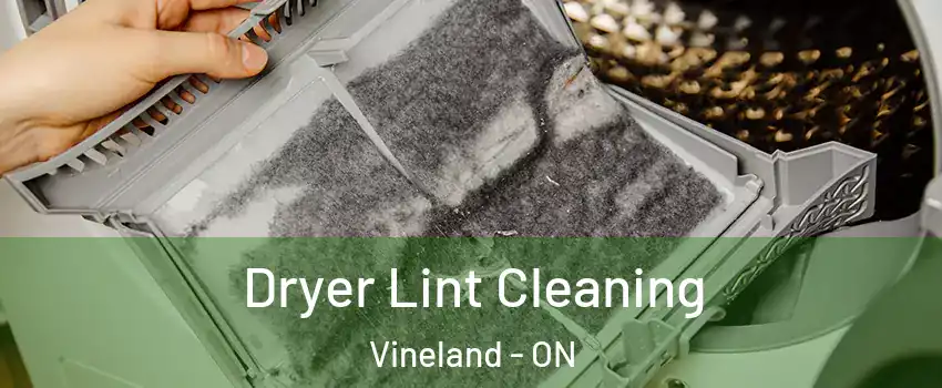  Dryer Lint Cleaning Vineland - ON