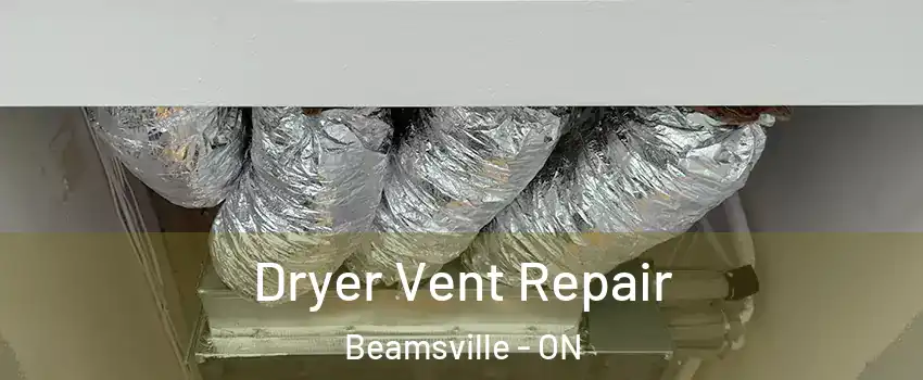  Dryer Vent Repair Beamsville - ON