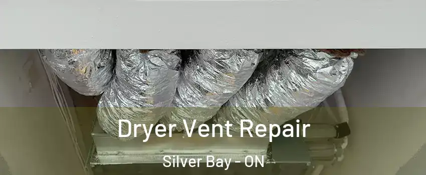  Dryer Vent Repair Silver Bay - ON