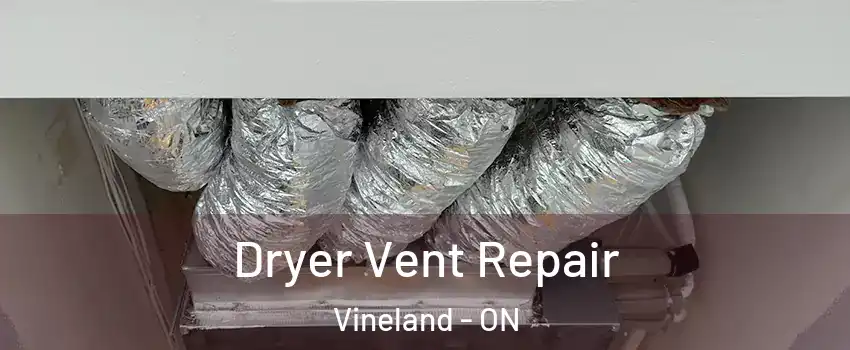  Dryer Vent Repair Vineland - ON