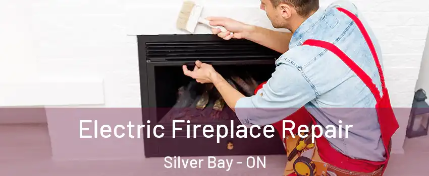  Electric Fireplace Repair Silver Bay - ON