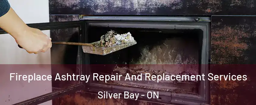  Fireplace Ashtray Repair And Replacement Services Silver Bay - ON