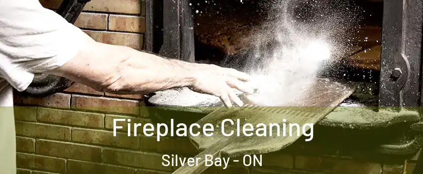  Fireplace Cleaning Silver Bay - ON