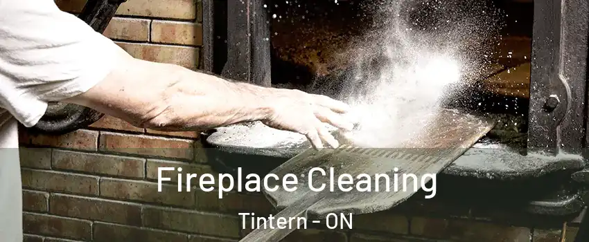 Fireplace Cleaning Tintern - ON