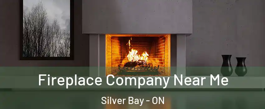  Fireplace Company Near Me Silver Bay - ON