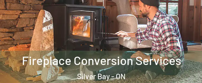  Fireplace Conversion Services Silver Bay - ON