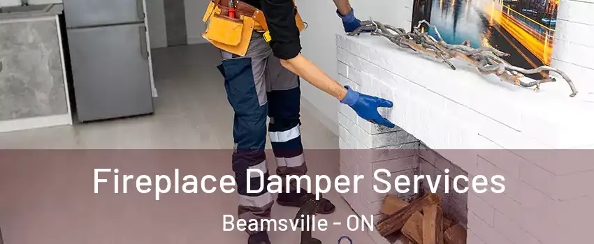  Fireplace Damper Services Beamsville - ON
