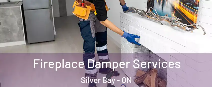 Fireplace Damper Services Silver Bay - ON
