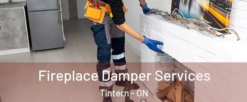  Fireplace Damper Services Tintern - ON