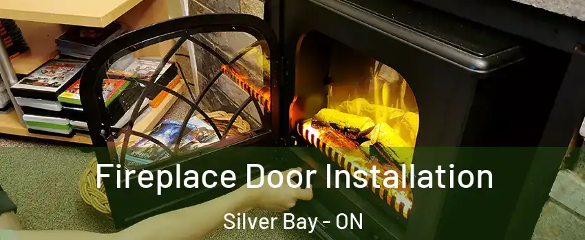 Fireplace Door Installation Silver Bay - ON
