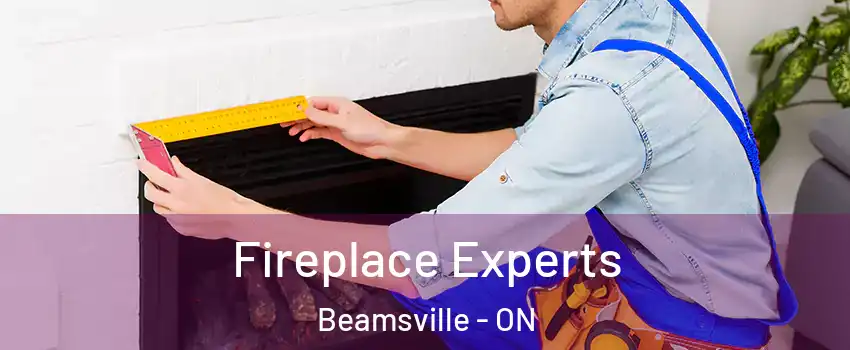  Fireplace Experts Beamsville - ON