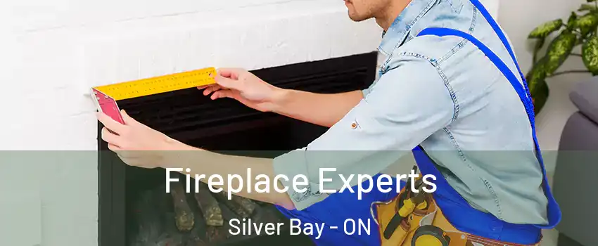  Fireplace Experts Silver Bay - ON