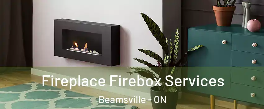Fireplace Firebox Services Beamsville - ON