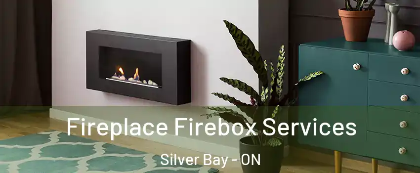  Fireplace Firebox Services Silver Bay - ON