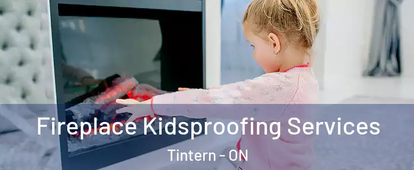 Fireplace Kidsproofing Services Tintern - ON