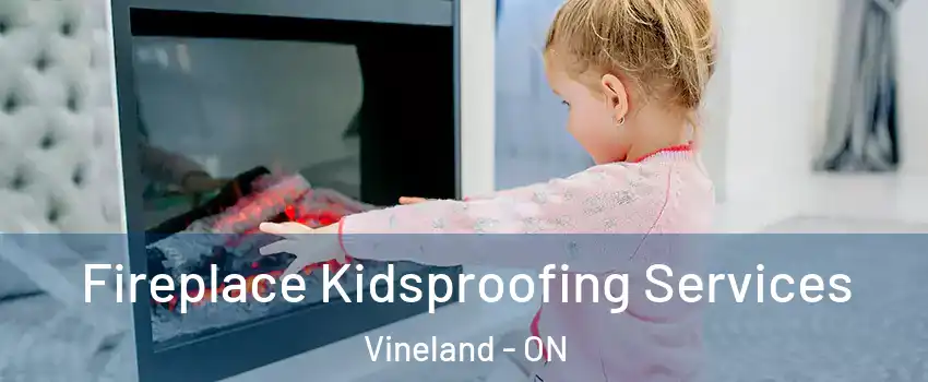  Fireplace Kidsproofing Services Vineland - ON
