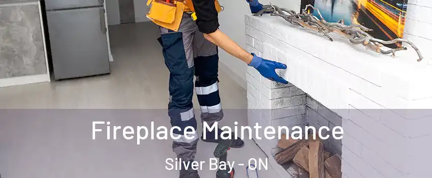 Fireplace Maintenance Silver Bay - ON