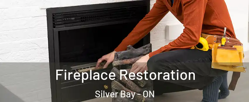  Fireplace Restoration Silver Bay - ON